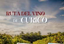 Ruta del vino de Curico