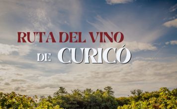 Sigue la ruta del vino del Valle de Curicó Ruta del vino de Curico