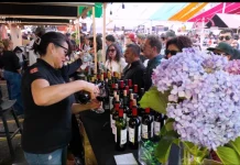VIDEO | Fiesta de la Vendimia de Curicó 2026