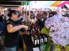 Video | Fiesta de la Vendimia de Curicó 2026 VIDEO | Fiesta de la Vendimia de Curicó 2026