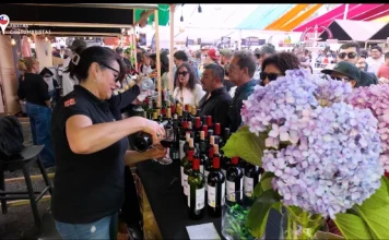 Video | Fiesta de la Vendimia de Curicó 2026 VIDEO | Fiesta de la Vendimia de Curicó 2026