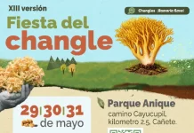 Fiesta del Changle en Cañete 2026