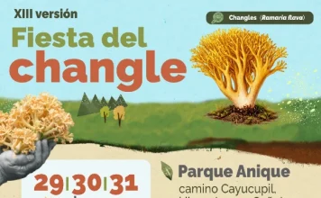 Fiesta del Changle en Cañete 2026