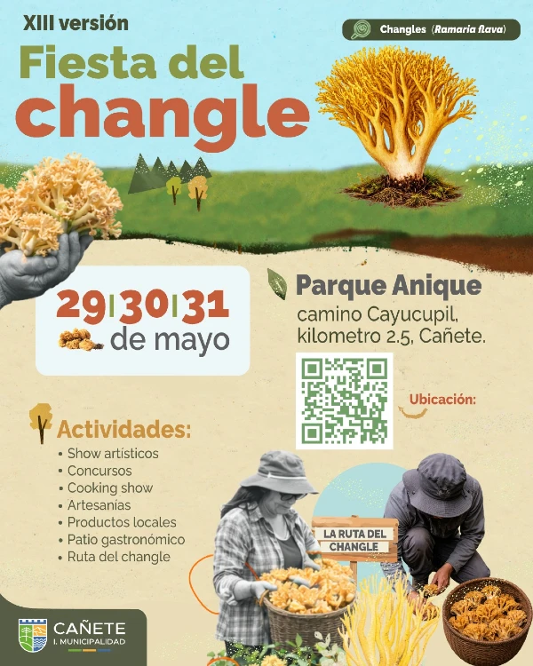 Fiesta del Changle en Cañete 2026 1 Fiesta del Changle en Cañete 2026