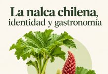 La nalca chilena, identidad y gastronomía nalca chilena