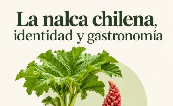 nalca chilena